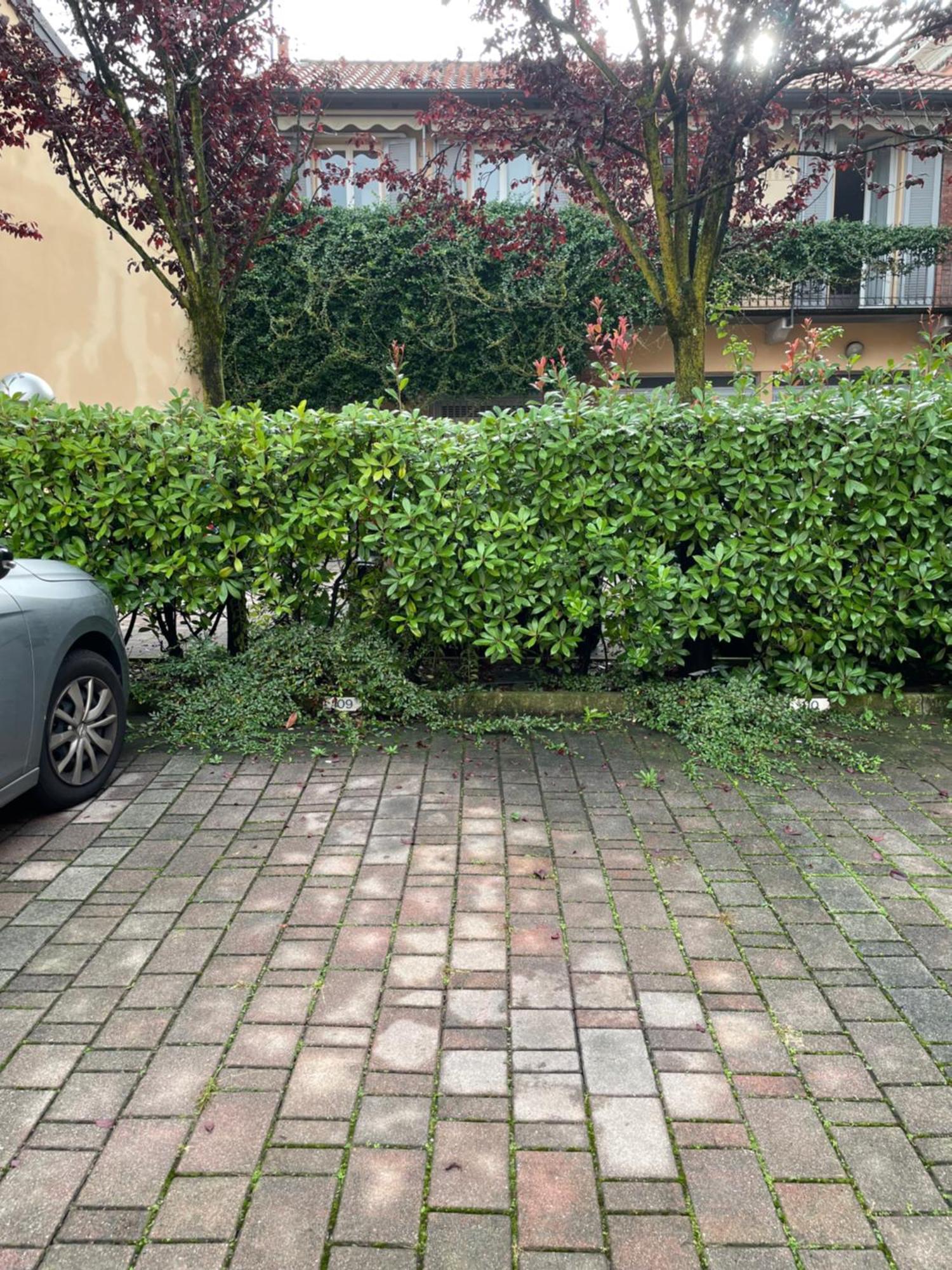Gelsomino Appartamento Con Posto Auto Nel Centro Di 몬차 외부 사진